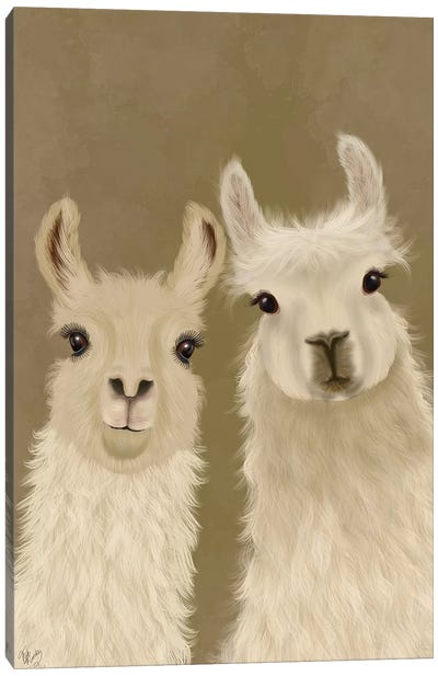 Llama Duo, Looking at You Canvas Art Print - Llama & Alpaca Art