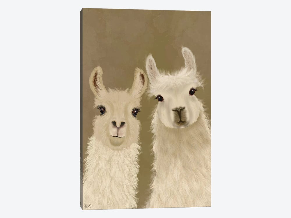 Llama Duo, Looking at You by Fab Funky 1-piece Canvas Print