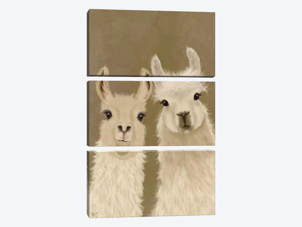 Llama Duo, Looking at You by Fab Funky 3-piece Canvas Art Print