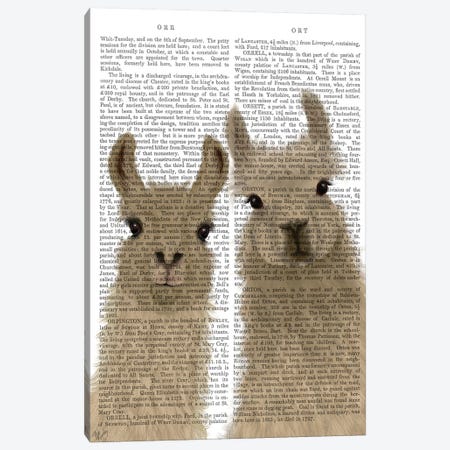 Llama Duo, Looking at You Book Print Canvas Print #FNK1815} by Fab Funky Canvas Print