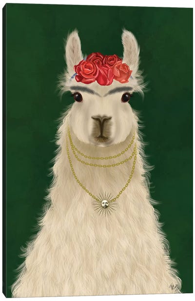 Llama F Canvas Art Print - Llama & Alpaca Art