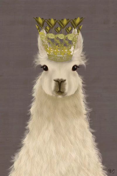 Llama Queen by Fab Funky canvas print