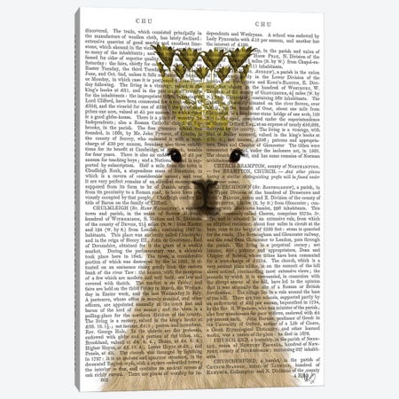 Llama Queen Book Print Canvas Print #FNK1827} by Fab Funky Canvas Artwork