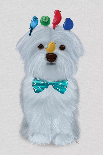 Maltese: Maltese and Birds by Fab Funky