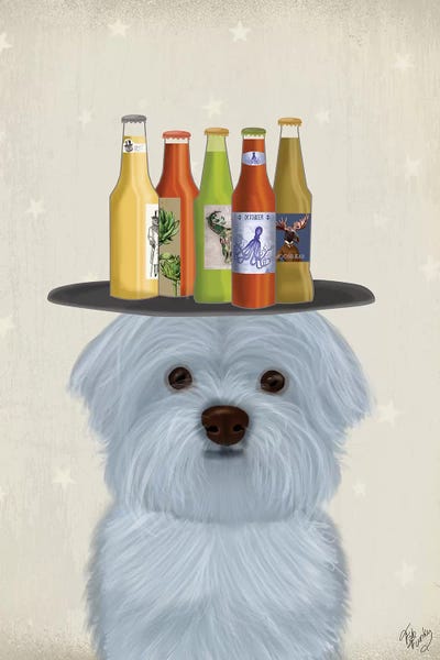 Maltese Beer Lover