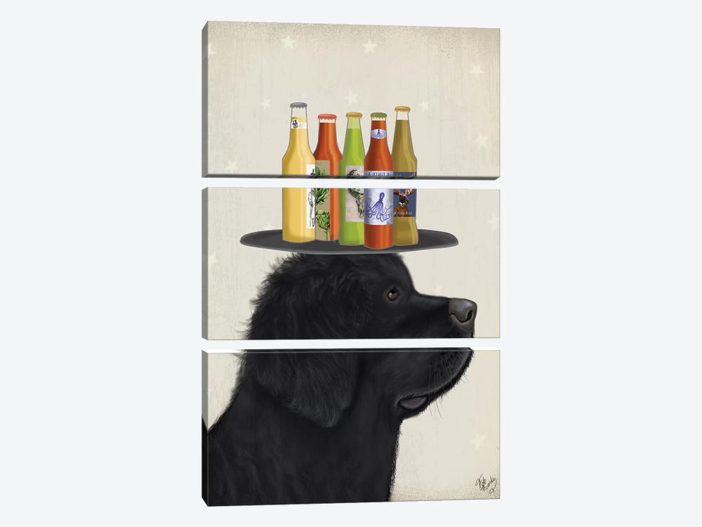 Newfoundland Beer Lover by Fab Funky 3-piece Canvas Print