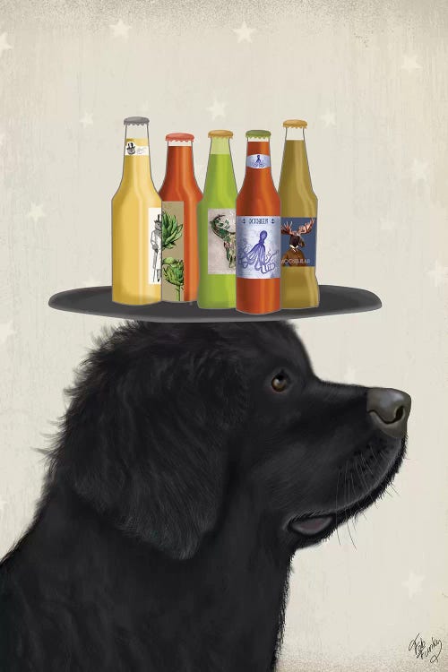 Newfoundland Beer Lover
