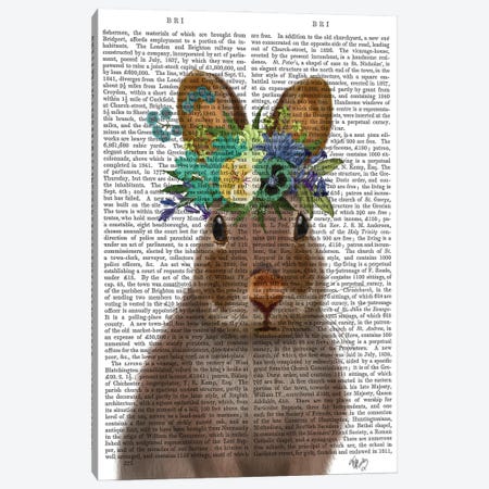 Rabbit Bohemian Book Print Canvas Print #FNK1883} by Fab Funky Canvas Print