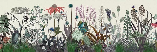 Wildflower Bloom