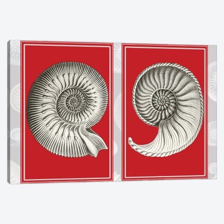 Nautilus Shells On Red Canvas Print #FNK1933} by Fab Funky Canvas Print