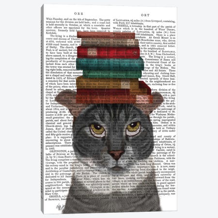 Grey Cat With Books On Head I Canvas Print #FNK325} by Fab Funky Canvas Wall Art