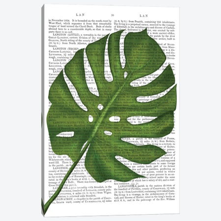 Monstera Leaf I Canvas Print #FNK359} by Fab Funky Canvas Wall Art