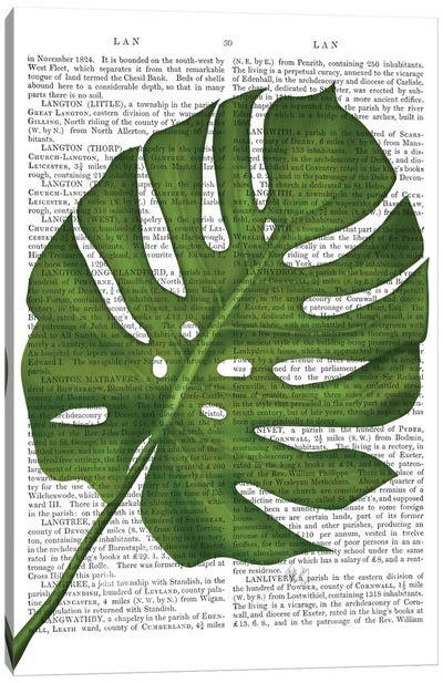 Monstera Leaf I Canvas Art Print - Spring Color Refresh
