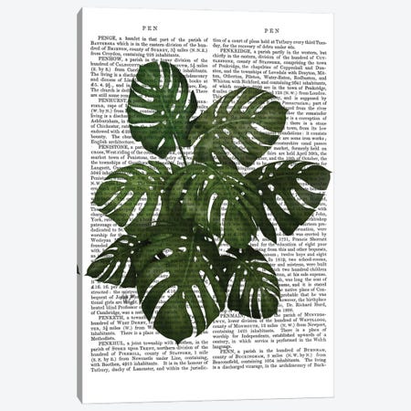 Monstera Plant I Canvas Print #FNK364} by Fab Funky Canvas Wall Art