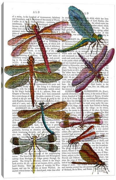 Dragonfly Print III Canvas Art Print - Dragonfly Art