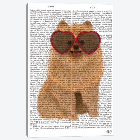 Pomeranian And Heart Glasses I Canvas Print #FNK405} by Fab Funky Canvas Print