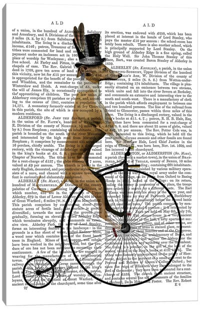 Greyhound On Black Penny Farthing Bike Canvas Art Print