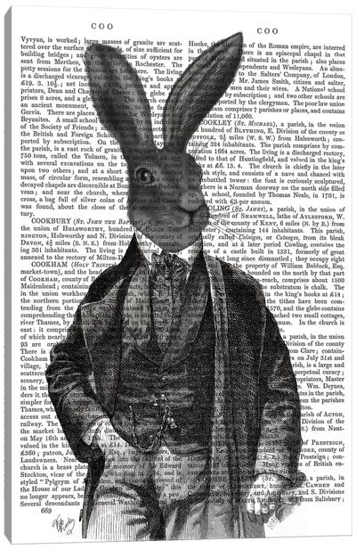 Victorian Rabbit Gent I Canvas Art Print - Hipster