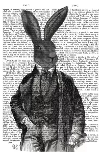 Victorian Rabbit Gent I