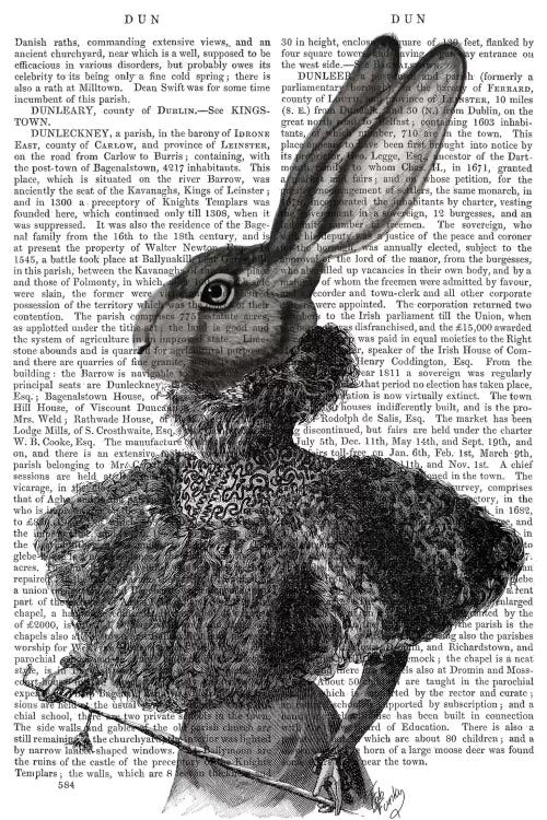 Victorian Rabbit Lady I