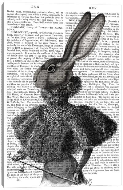 Victorian Rabbit Lady I Canvas Art Print - Fab Funky