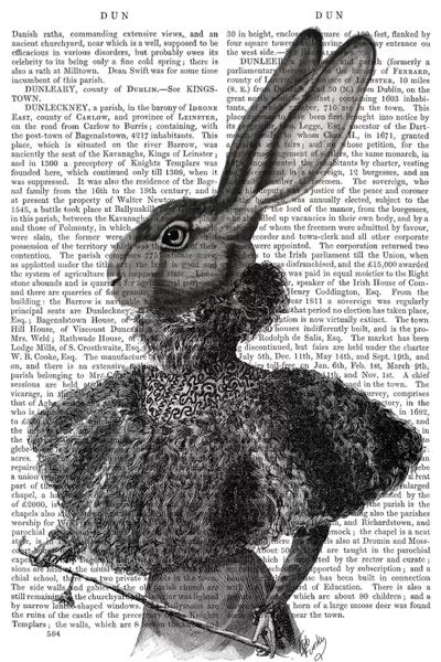 Rabbits: Victorian Rabbit Lady I by Fab Funky