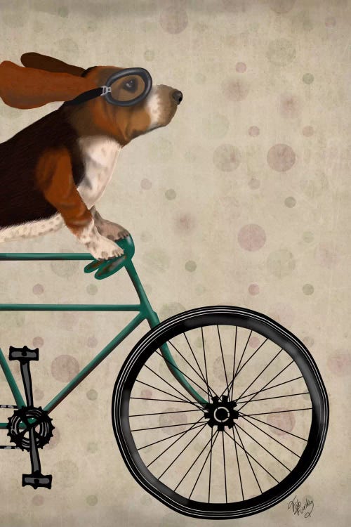 Basset Hound on Bicycle by Fab Funky wall art
