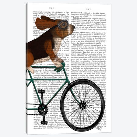 Basset Hound on Bicycle, Print BG Canvas Print #FNK498} by Fab Funky Art Print