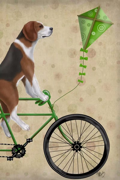 Beagles: Beagle on Bicycle by Fab Funky