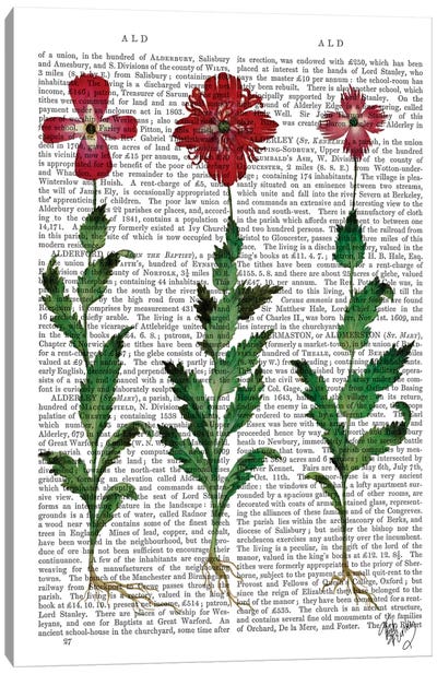 Italian Carnation I Canvas Art Print - Carnations