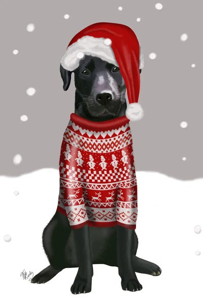 Do Labradors Need Sweaters