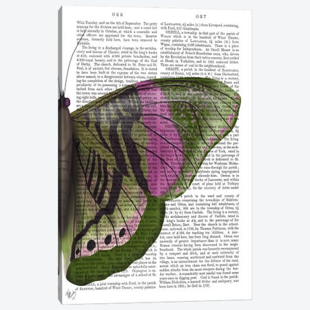 Butterfly in Green and Pink b Canvas Print #FNK548} by Fab Funky Canvas Art Print