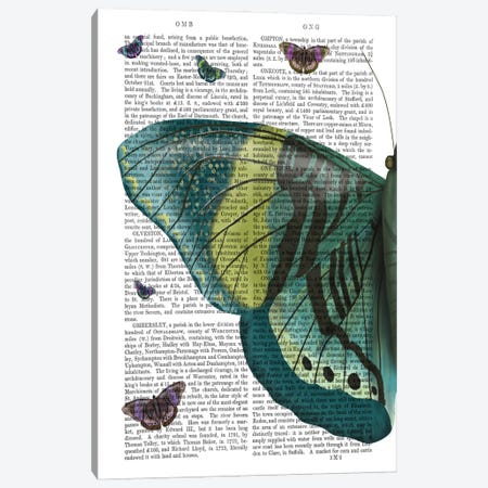 Butterfly in Turquoise and Yellow a Canvas Print #FNK549} by Fab Funky Canvas Print