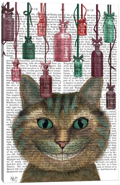 Cheshire Cat and Bottles, Print BG Canvas Art Print - British Shorthair Cat Art