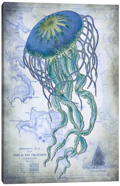 Jellyfish On Image Of Nautical Map Canvas Art Print - Jellyfish Art