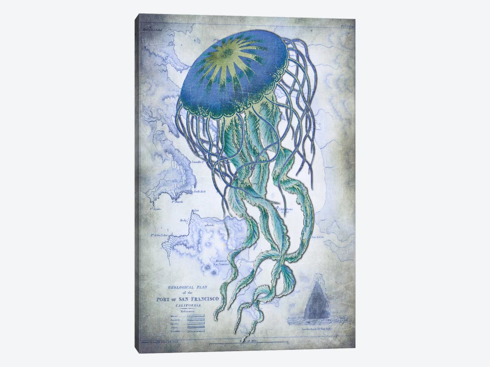 Jellyfish On Image Of Nautical Map by Fab Funky 1-piece Canvas Art