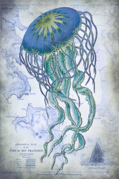 Jellyfish: Jellyfish On Image Of Nautical Map by Fab Funky