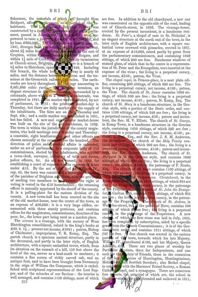 Mardi Gras Flamingo by Fab Funky framed canvas print
