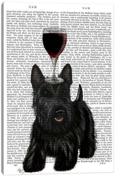 Dog Au Vin, Scottish Terrier, Print BG Canvas Art Print - Scottish Terriers