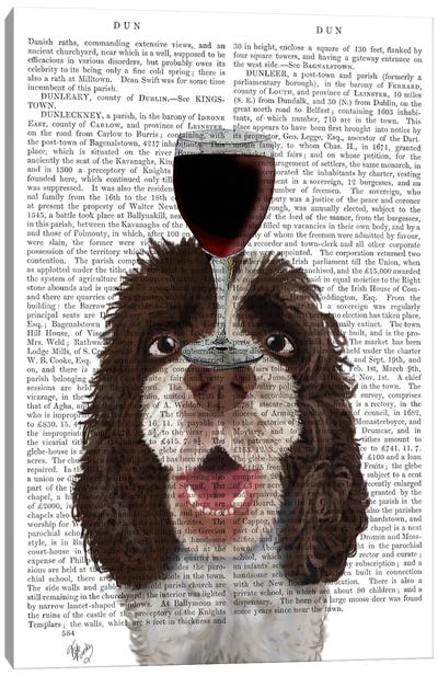 Dog Au Vin, Springer Spaniel, Print BG Canvas Art Print
