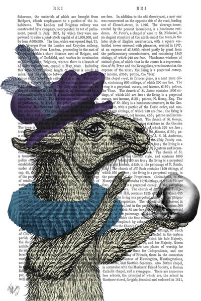 Drama Llama Print Bg Canvas Artwork By Fab Funky Icanvas