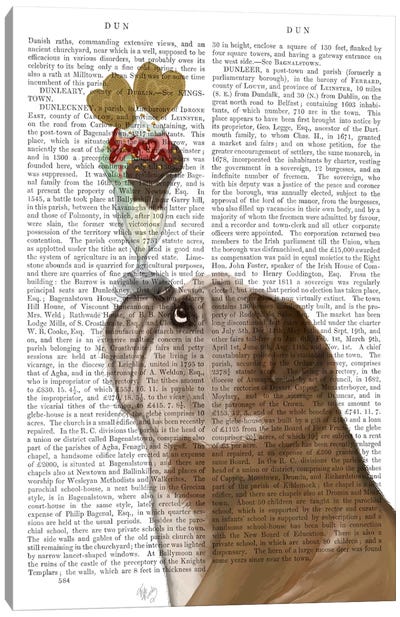 English Bulldog Ice Cream, Print BG Canvas Art Print - Book Illustrations 