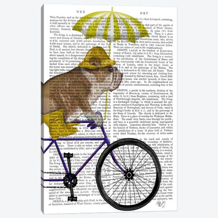 English Bulldog on Bicycle, Print BG Canvas Print #FNK623} by Fab Funky Canvas Wall Art