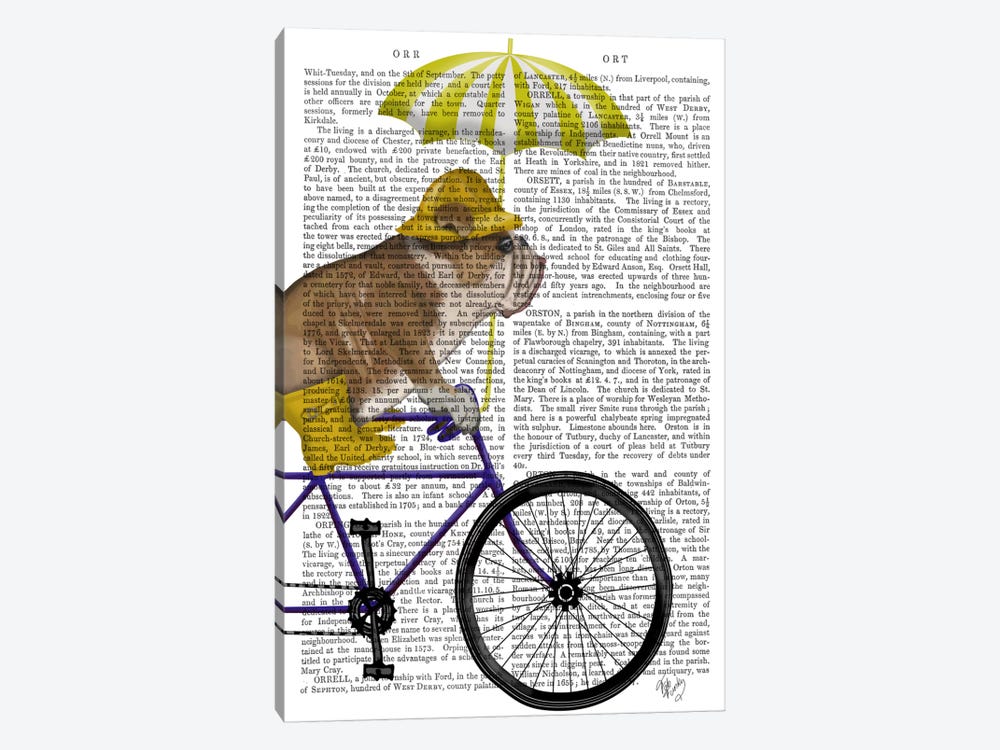 English Bulldog on Bicycle, Print BG by Fab Funky 1-piece Art Print