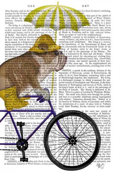 Umbrellas: English Bulldog on Bicycle, Print BG by Fab Funky