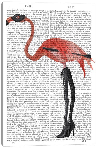 Flamingo with Kinky Boots, Print BG Canvas Art Print - Boots