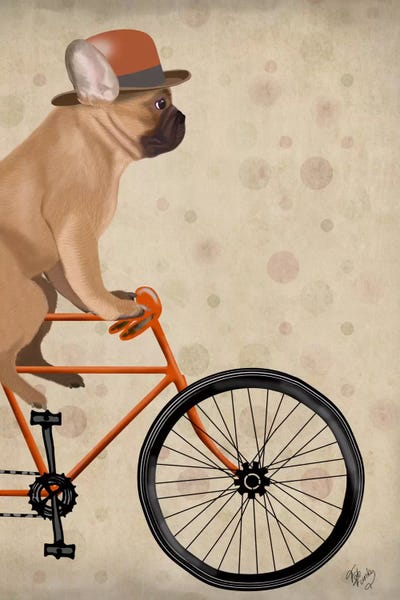 French Bulldogs: French Bulldog on Bicycle by Fab Funky