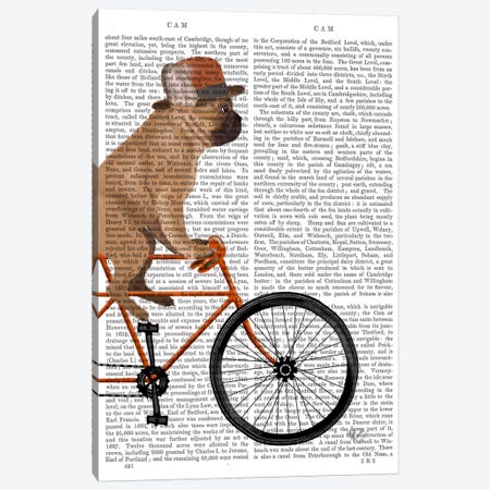 French Bulldog on Bicycle, Print BG Canvas Print #FNK652} by Fab Funky Canvas Art Print