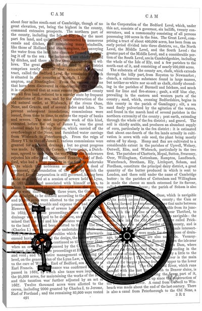 French Bulldog on Bicycle, Print BG Canvas Art Print - Cycling Art
