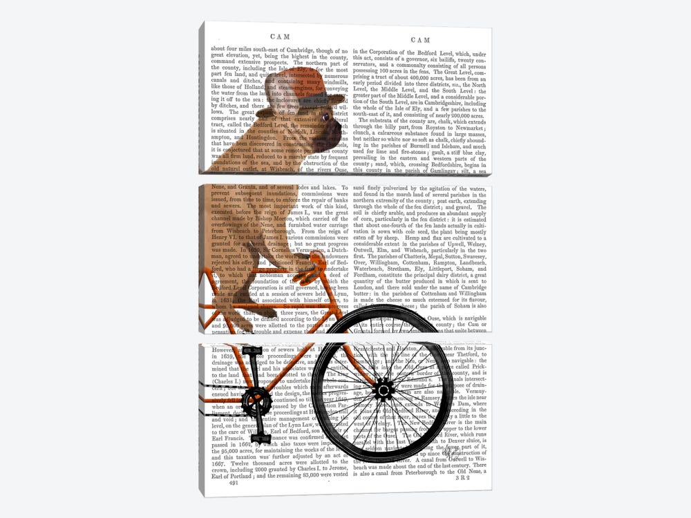 French Bulldog on Bicycle, Print BG by Fab Funky 3-piece Canvas Art Print